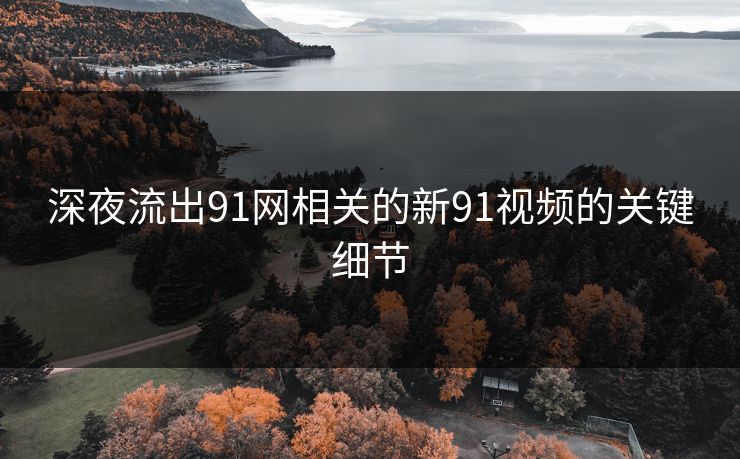 深夜流出91网相关的新91视频的关键细节