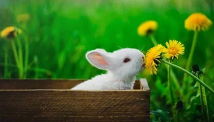 才三根手指就嗨了，三根手指会不会太多