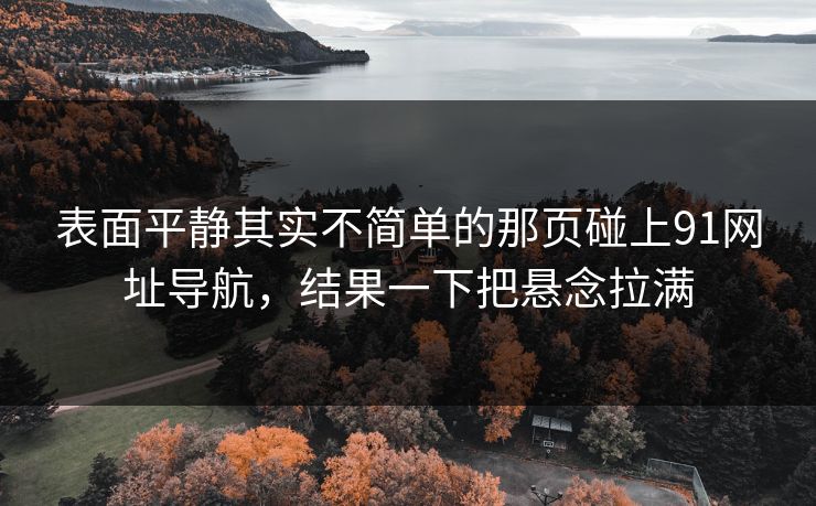 表面平静其实不简单的那页碰上91网址导航,结果一下把悬念拉满